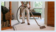 TX Dallas Carpet Cleaning